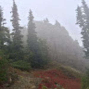 Meet your Posher, Camille